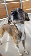 LILA Image 2